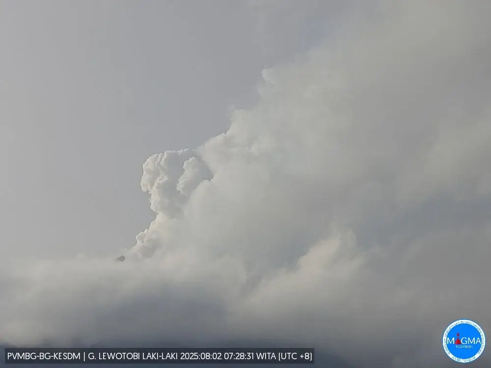 Aktivitas Gunung Lewotobi Laki-laki Masih Tinggi, Pemda dan Warga Diimbau Siaga